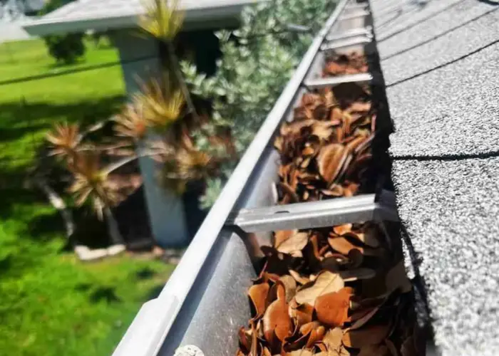 Prospect gutter cleaning home page